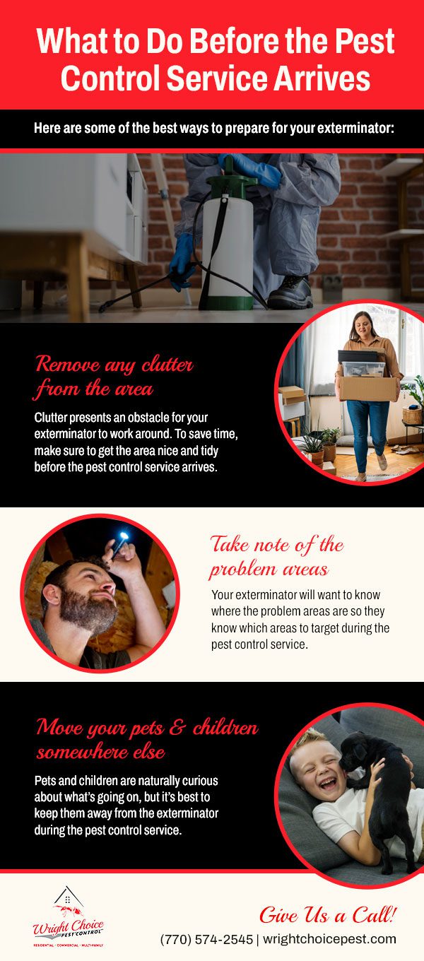 What to do Before the Pest Control Service Arrives