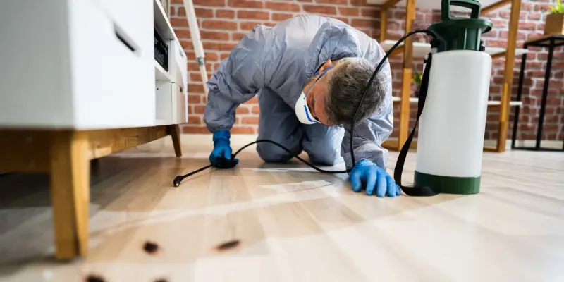 How to Choose the Right Commercial Pest Control Company